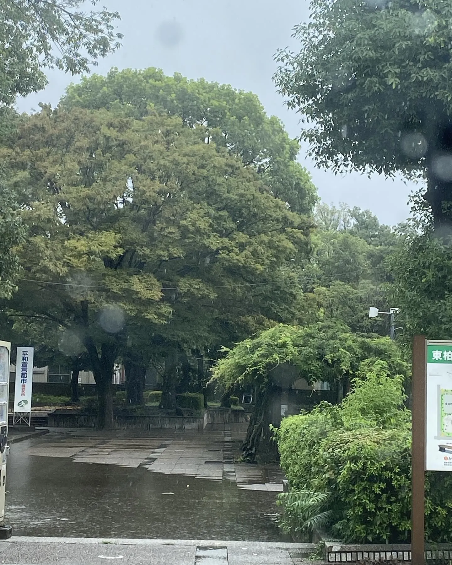 本日もご来店ありがとうございます^_^