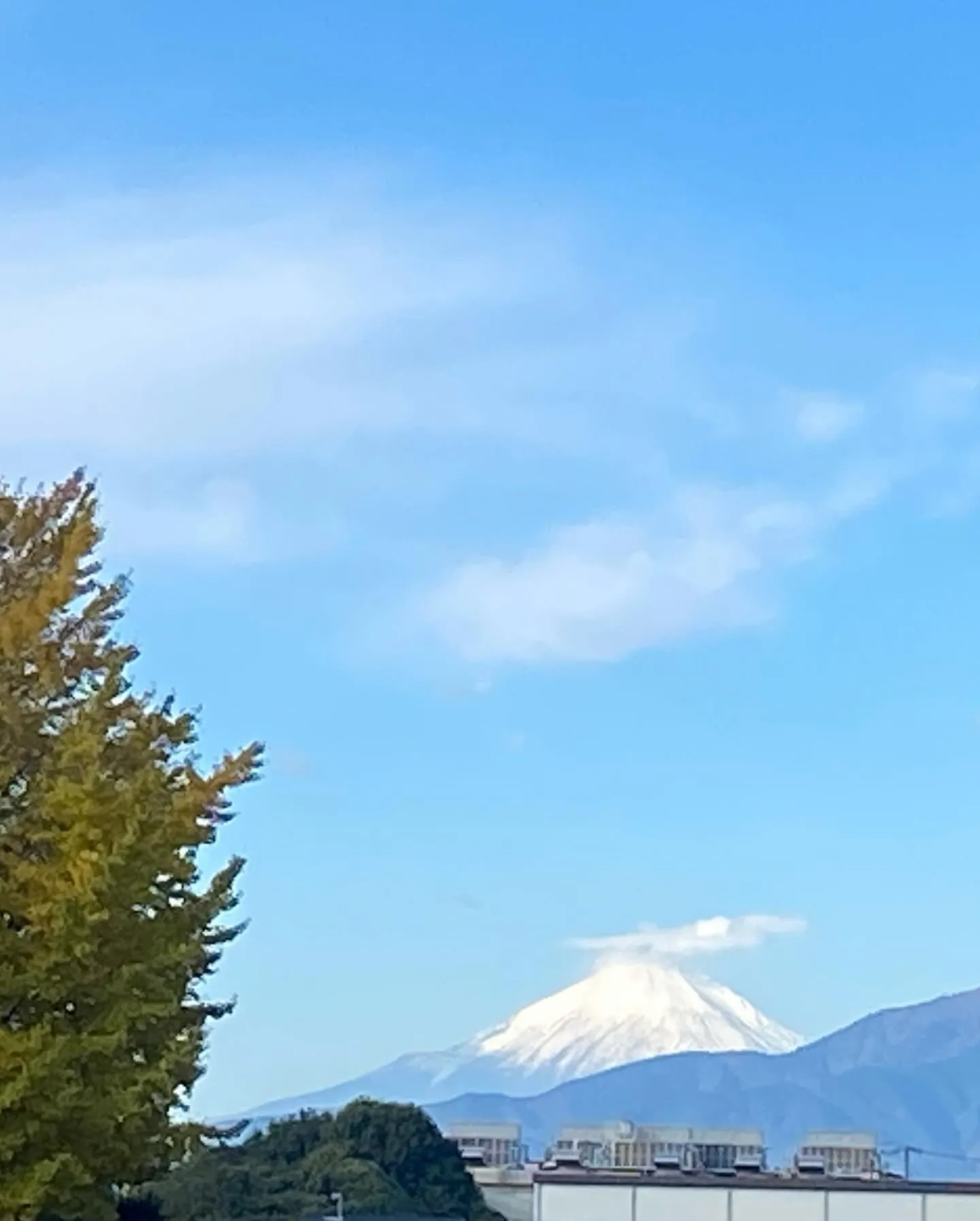 ［神奈川県海老名市綾瀬市美容室］