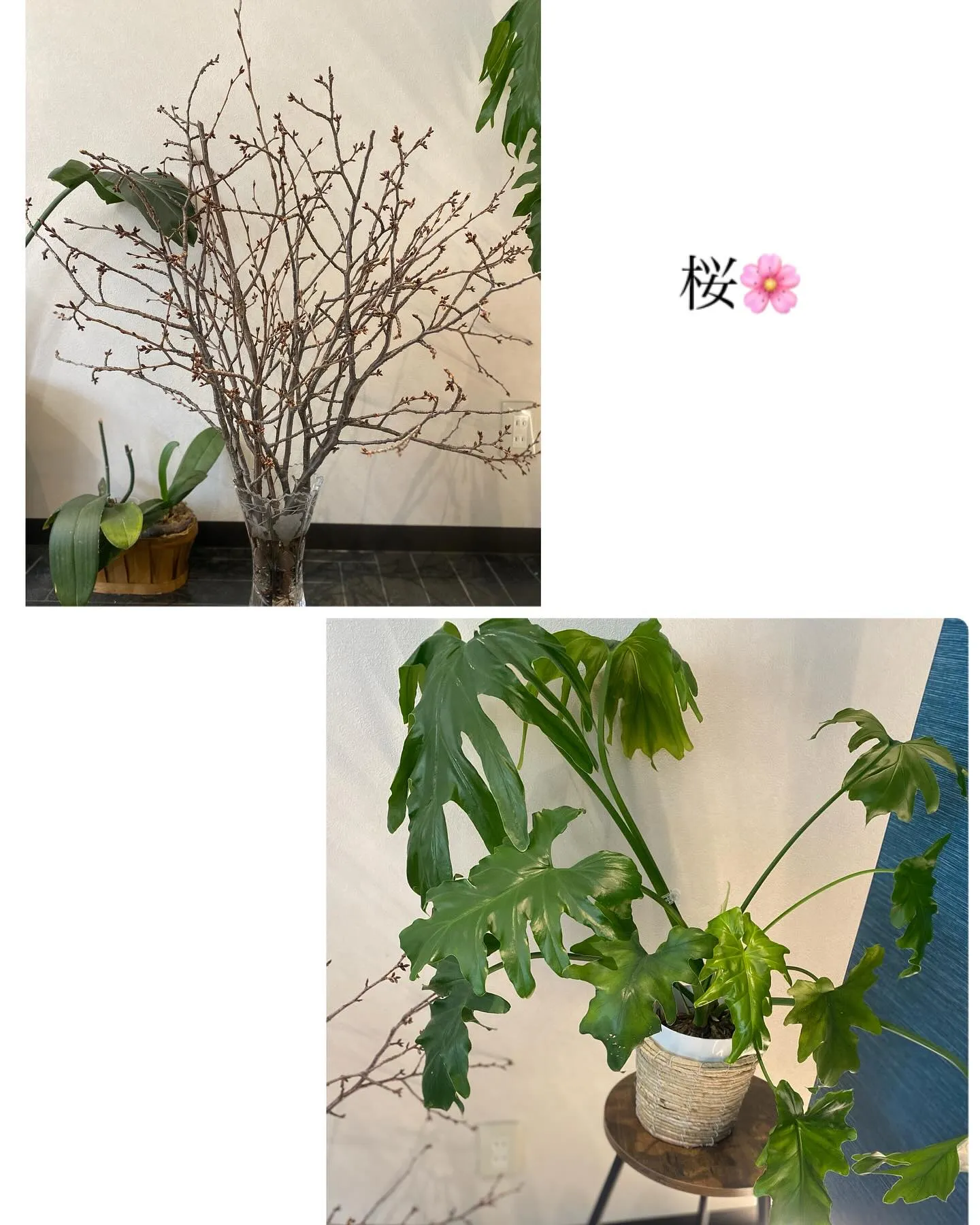 『神奈川県』『綾瀬市』『海老名市』『美容室』