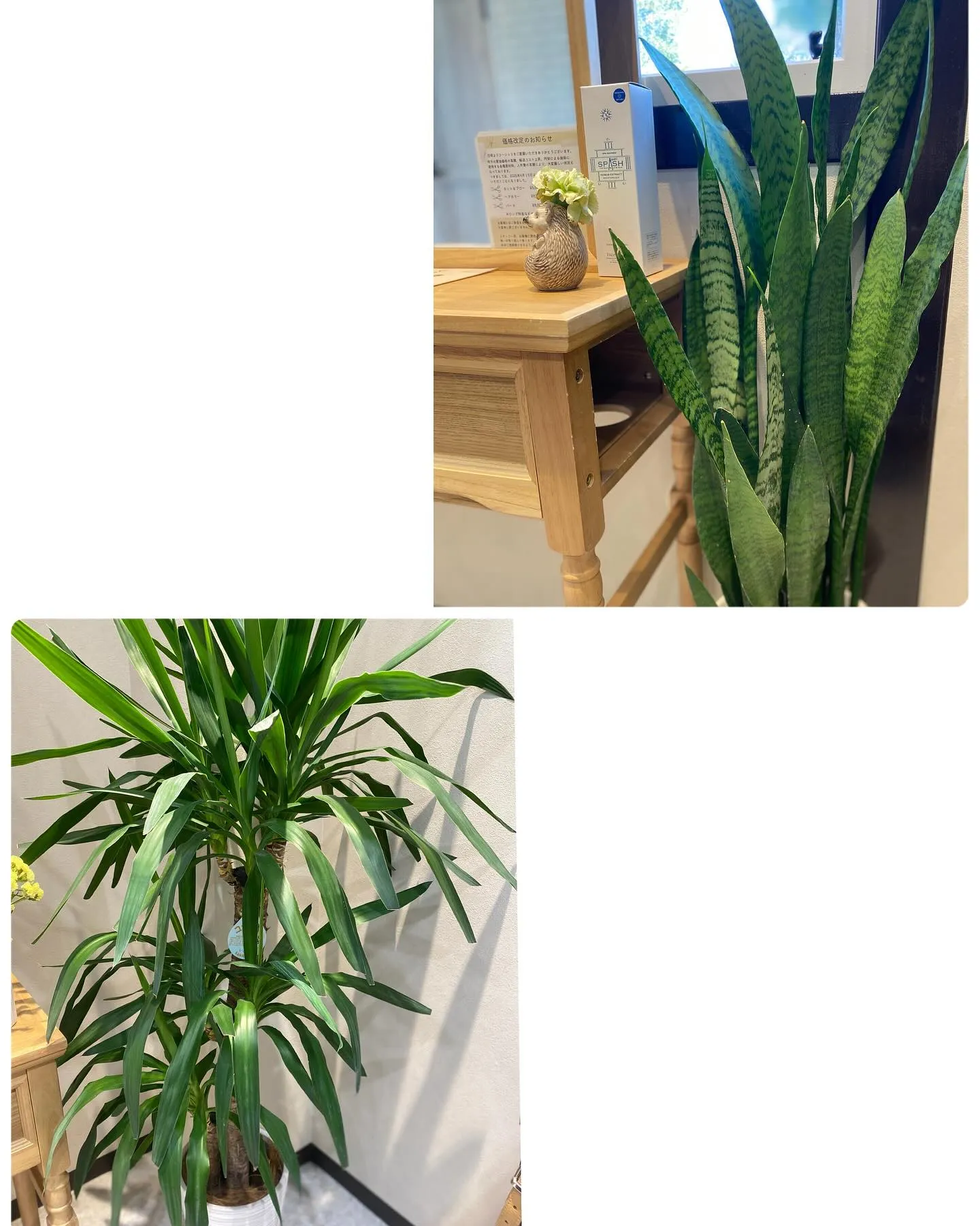 『神奈川県』『綾瀬市』『海老名市』『美容室』