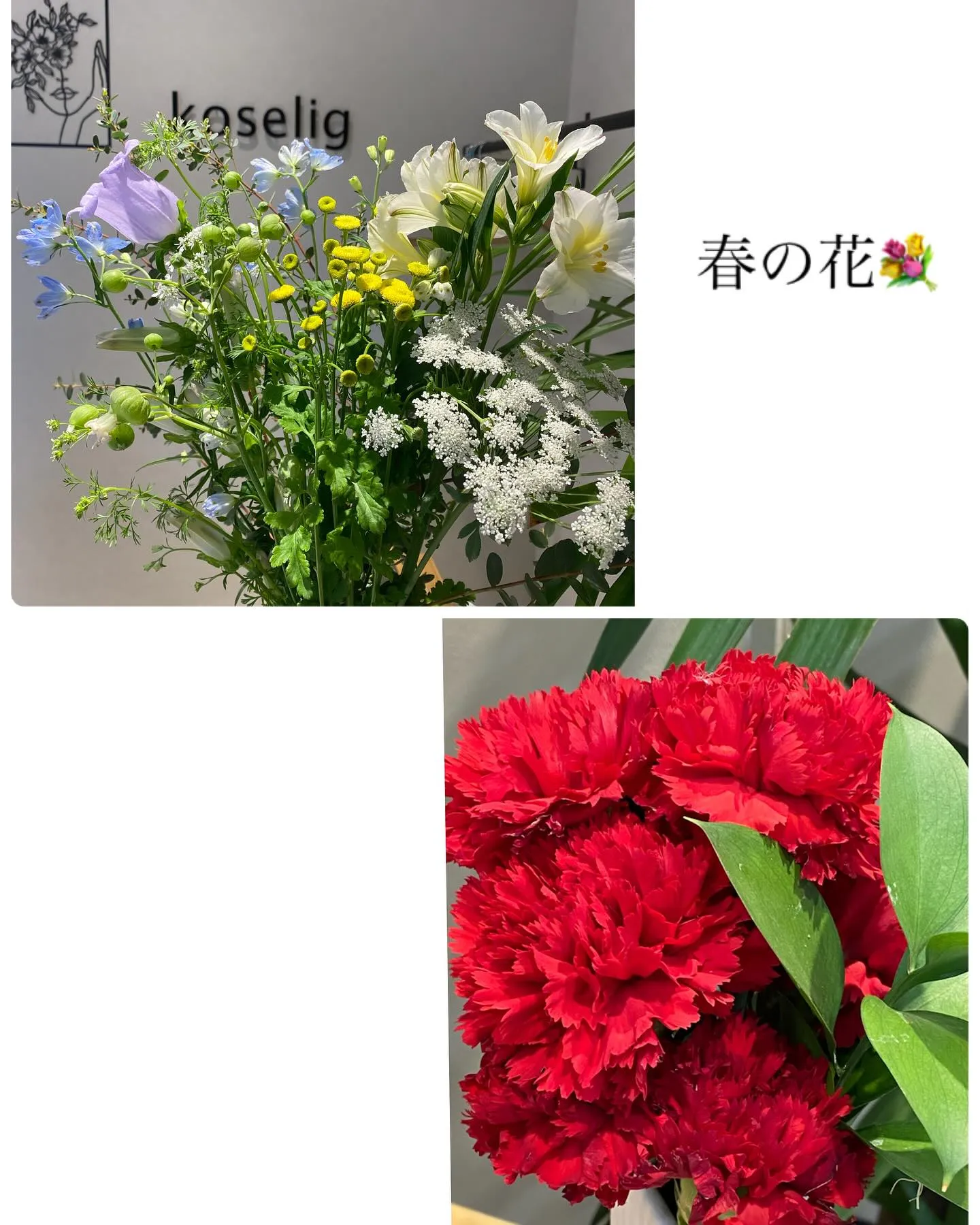 『神奈川県』『綾瀬市』『海老名市』『美容室』