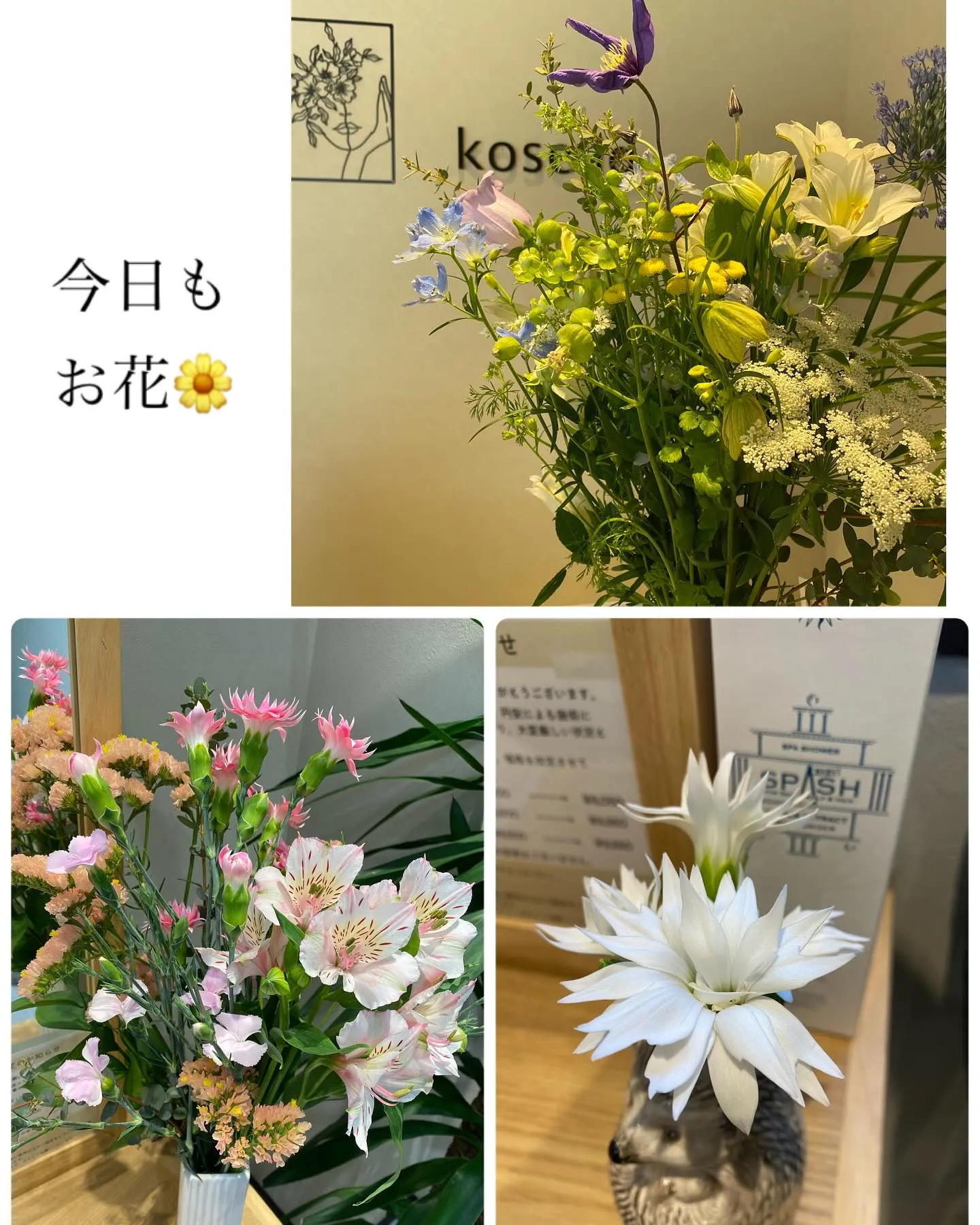 『神奈川県』『綾瀬市』『海老名市』『美容室』