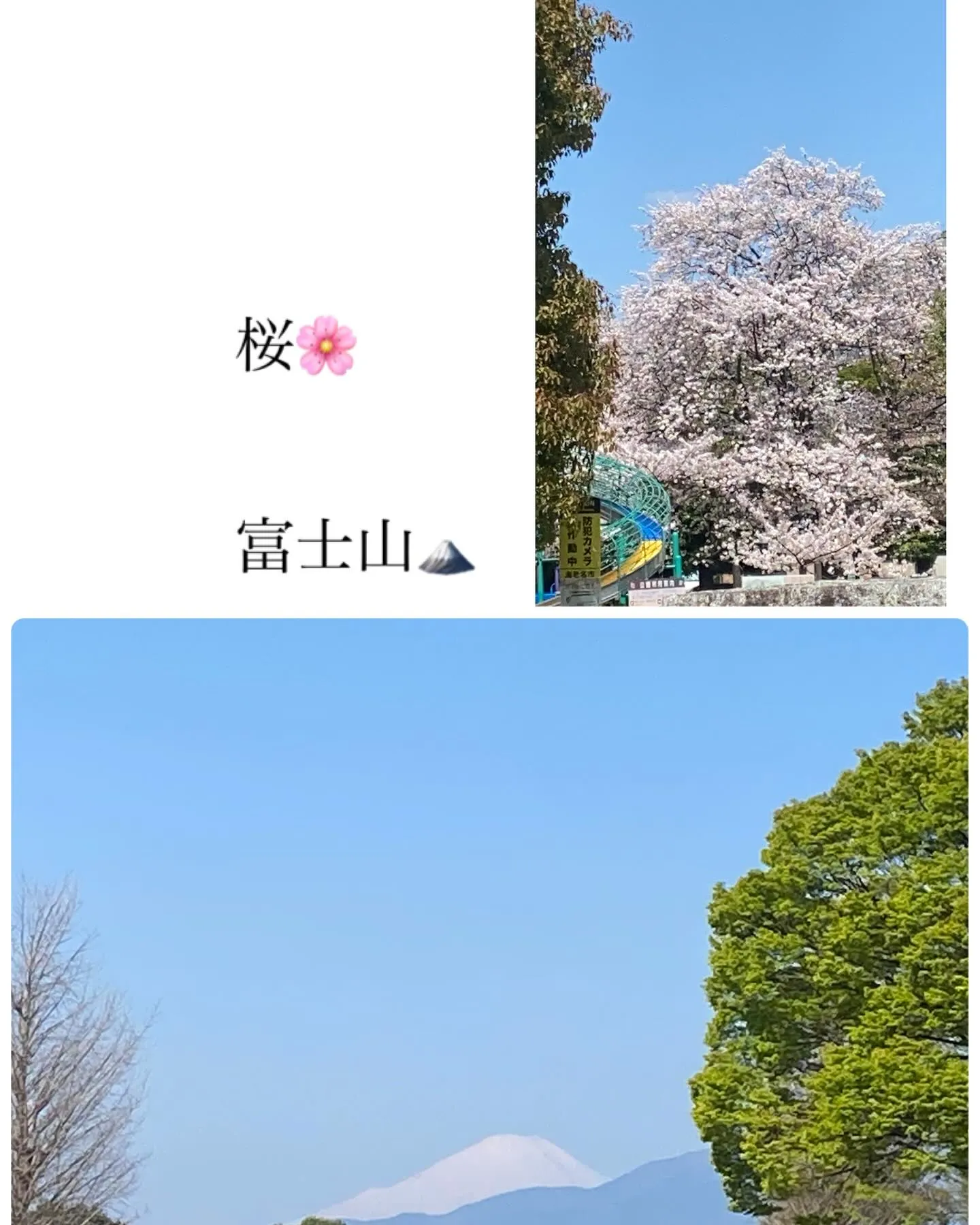 本日もご来店ありがとうございます♪