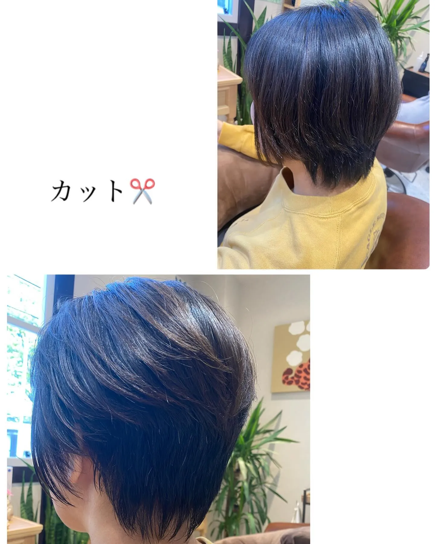 本日もご来店ありがとうございます♪