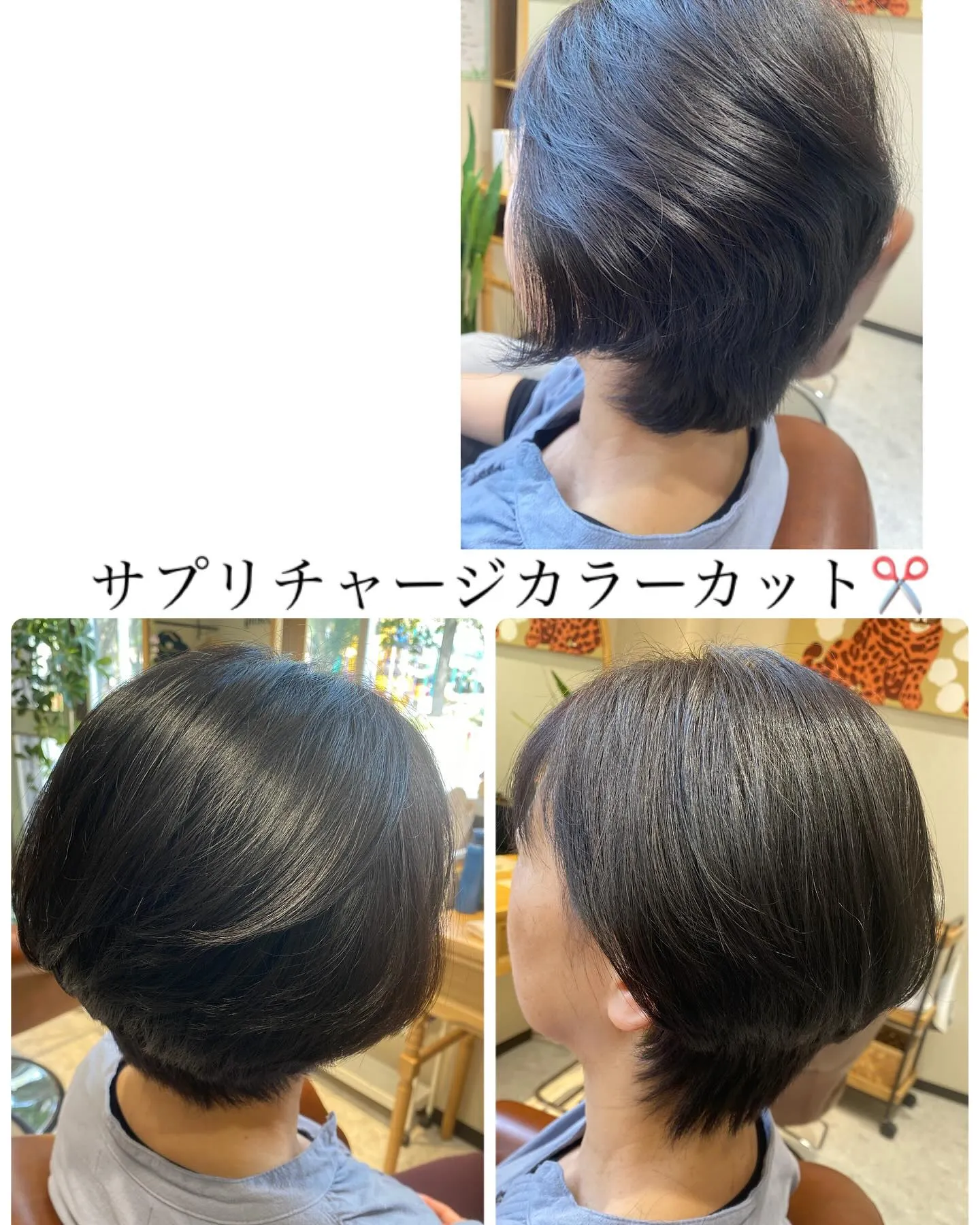 『神奈川県』『綾瀬市』『海老名市』『美容室』