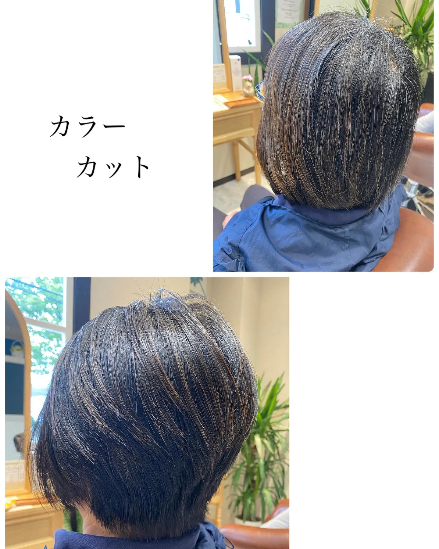 『神奈川県』『綾瀬市』『海老名市』『美容室』