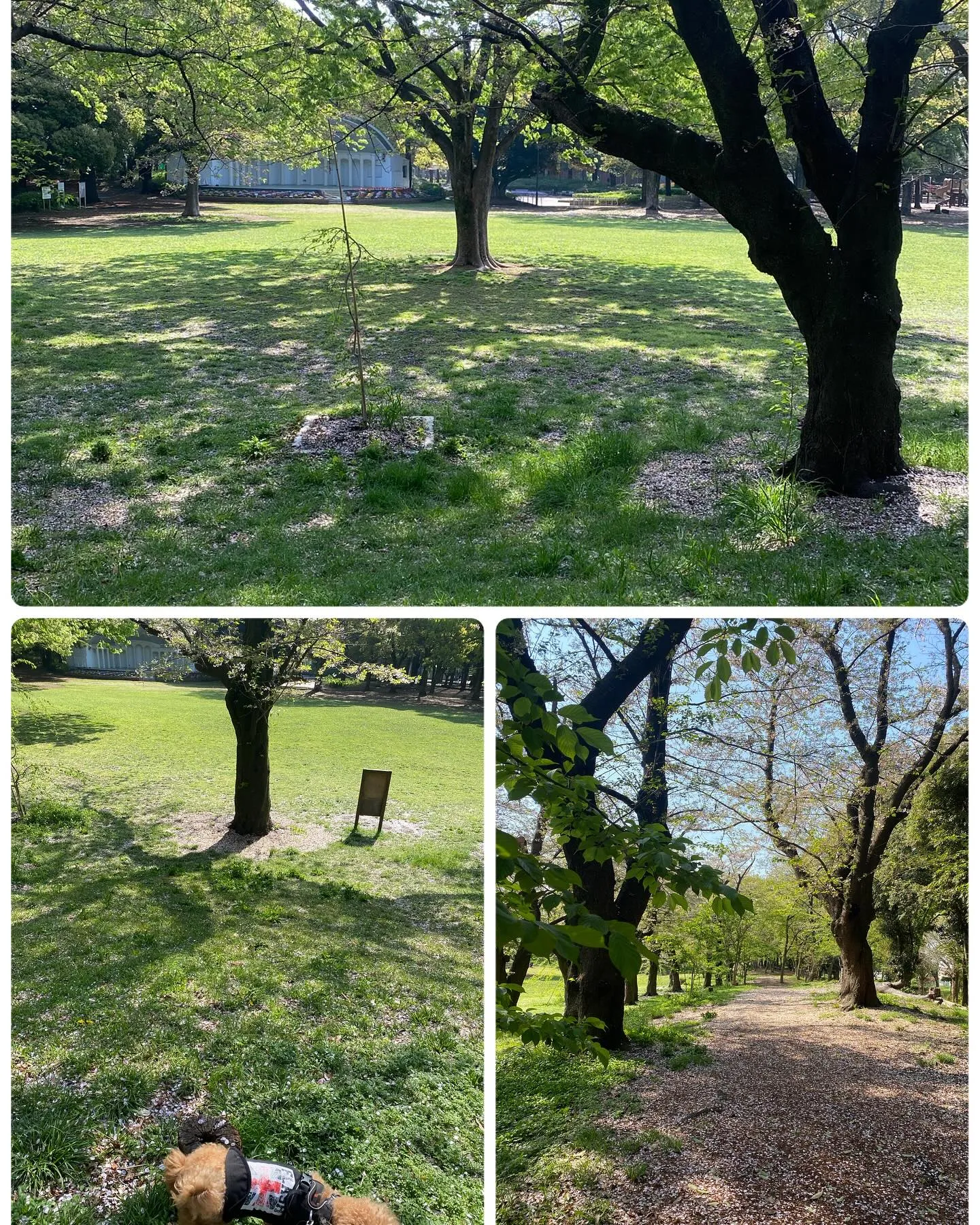 本日もご来店ありがとうございます^_^