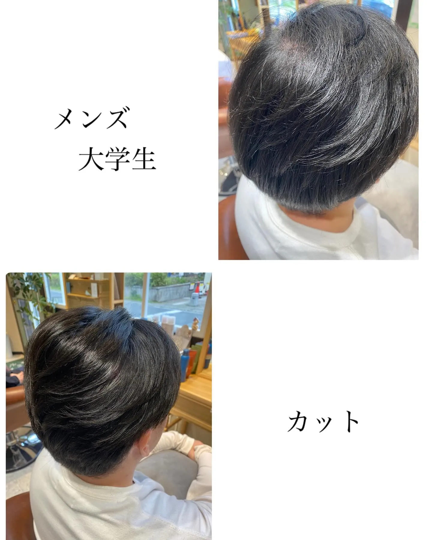 『神奈川県』『綾瀬市』『海老名市』『美容室』