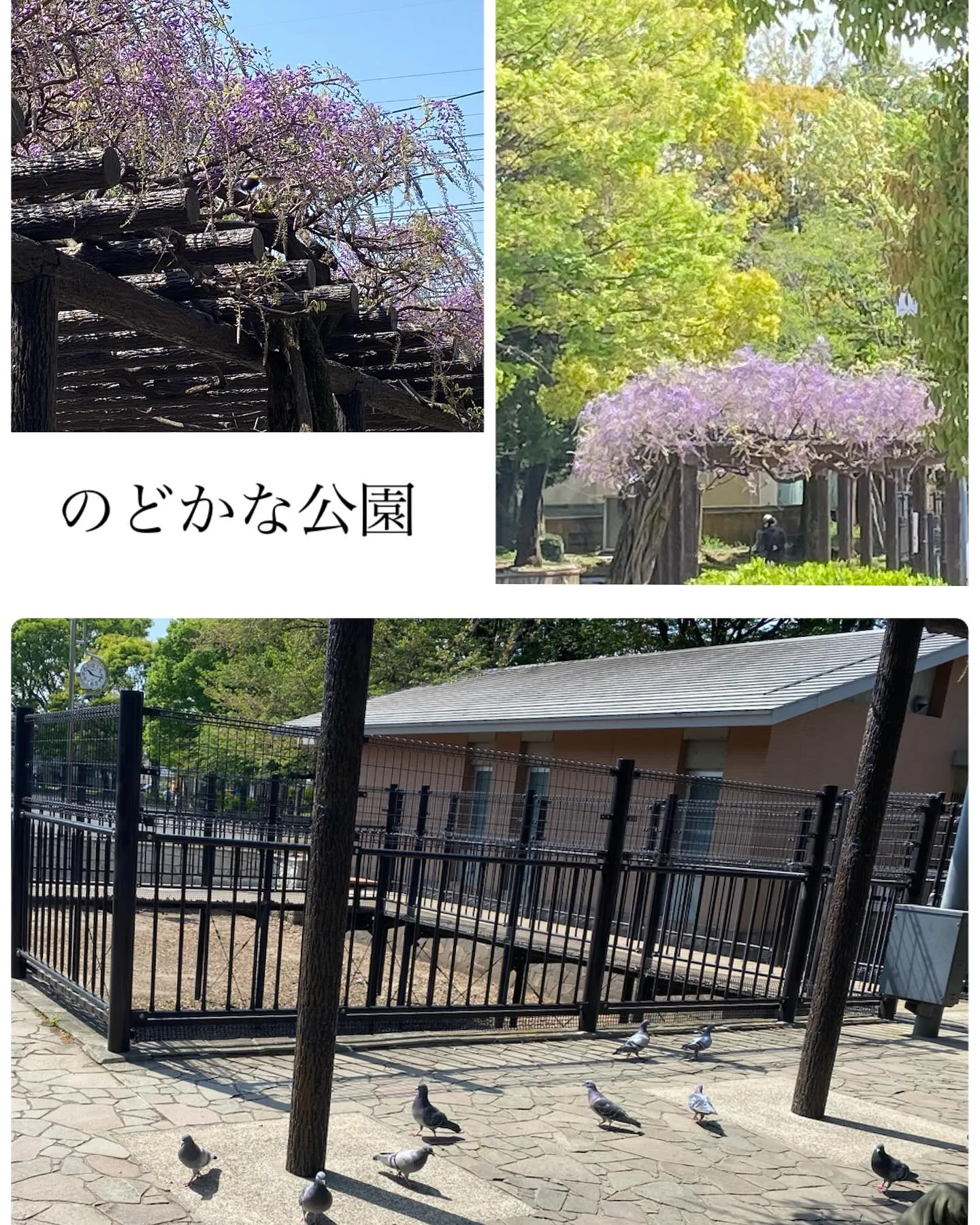 お休みありがとうございました♪