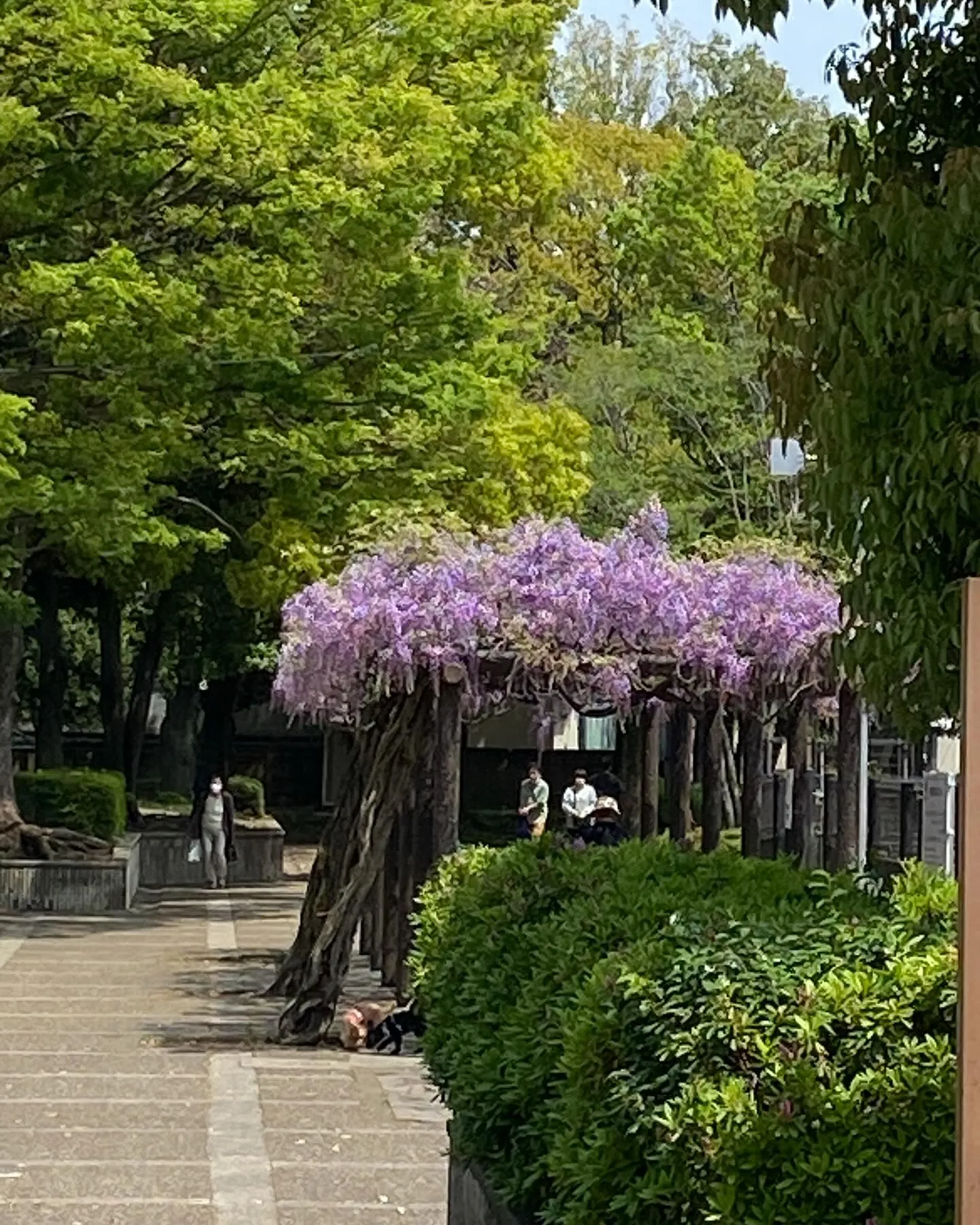 本日もご来店ありがとうございます♪