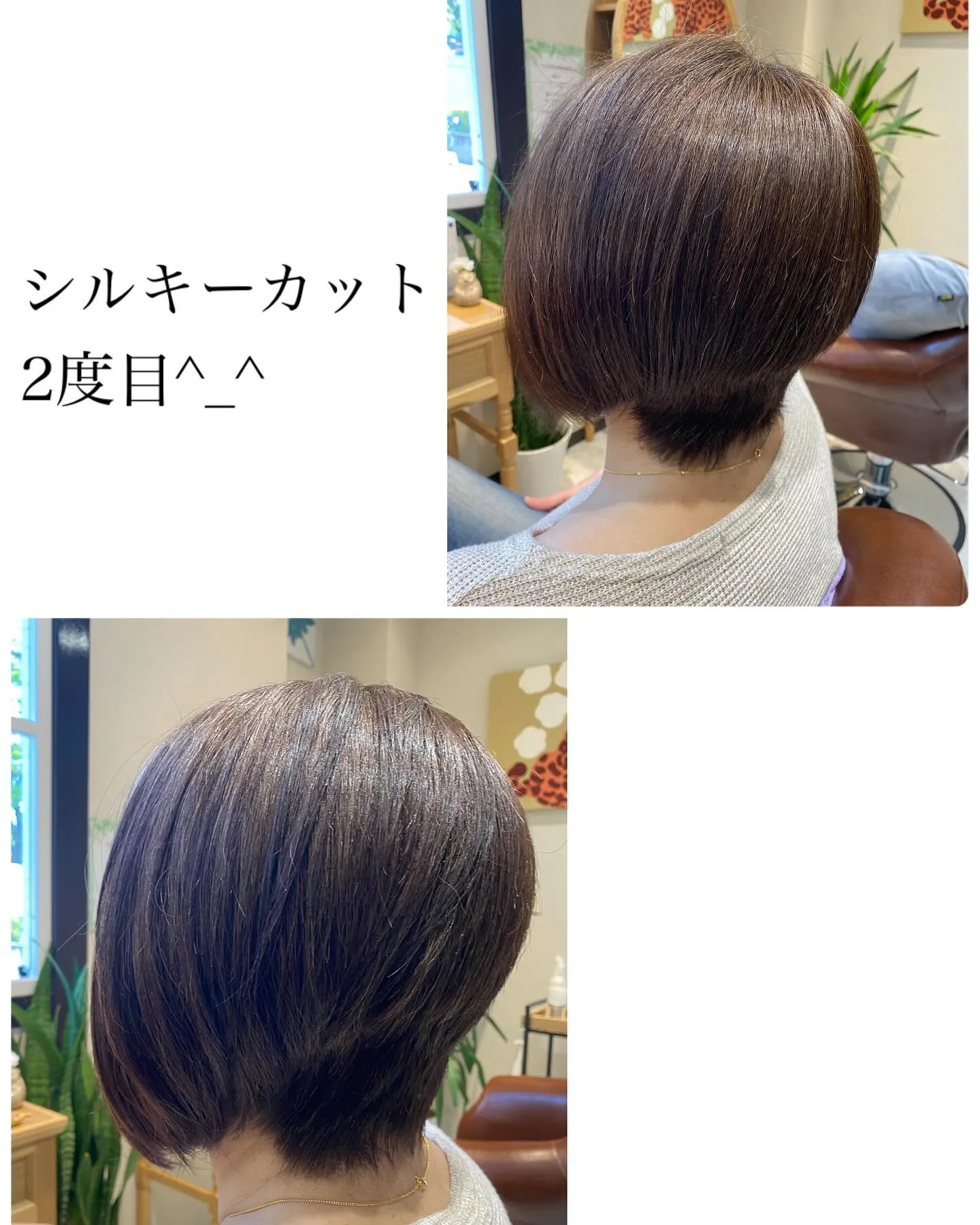 『神奈川県』『綾瀬市』『海老名市』『美容室』