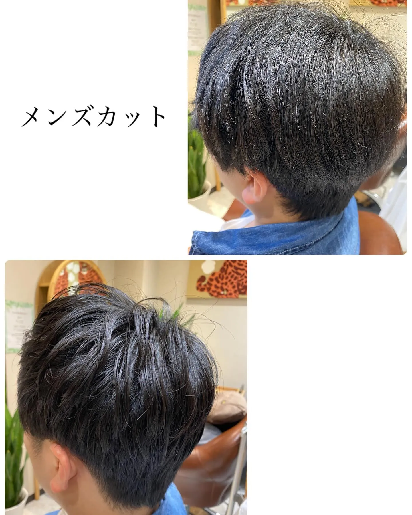 『神奈川県』『綾瀬市』『海老名市』『美容室』