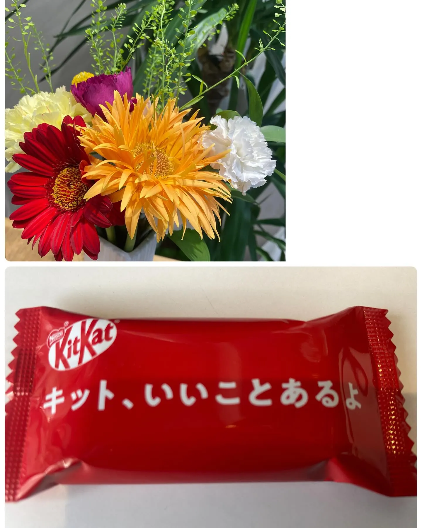 『神奈川県』『綾瀬市』『海老名市』『美容室』