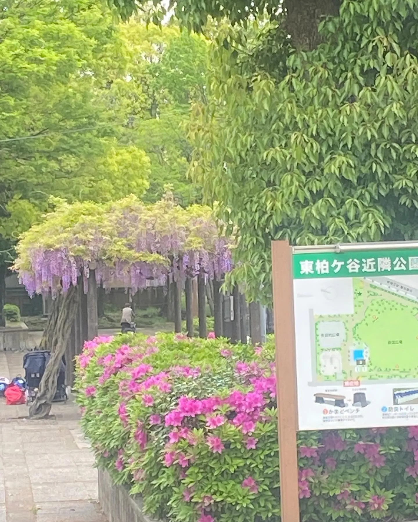 今日も101歳の方