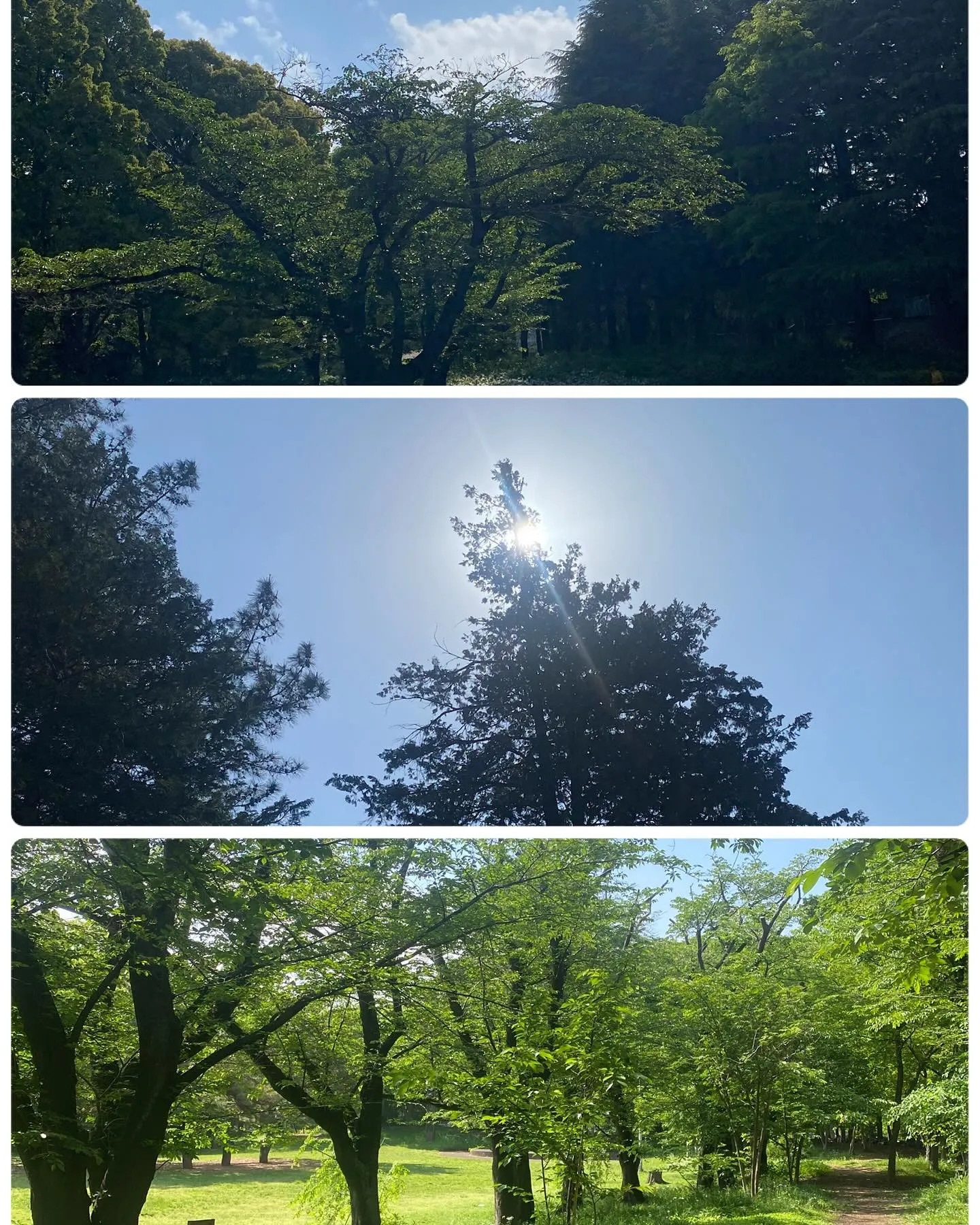 『神奈川県』『綾瀬市』『海老名市』『美容室』