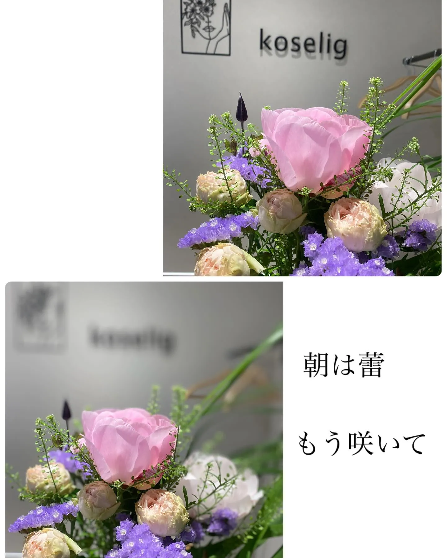 『神奈川県』『綾瀬市』『海老名市』『美容室』