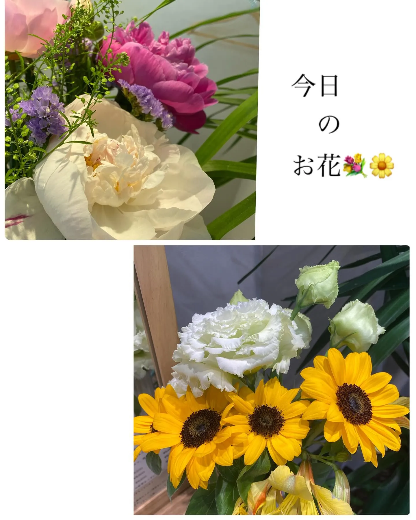 『神奈川県』『綾瀬市』『海老名市』『美容室』