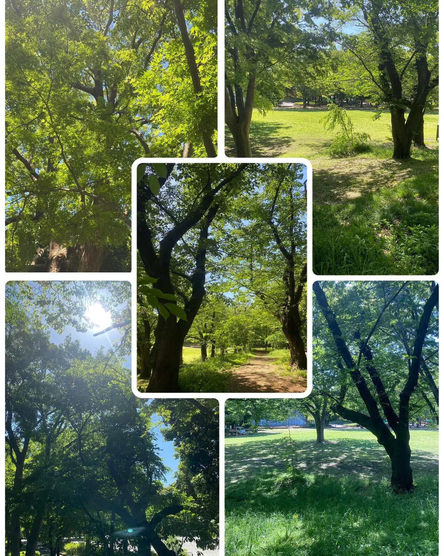 『神奈川県』『綾瀬市』『海老名市』『美容室』