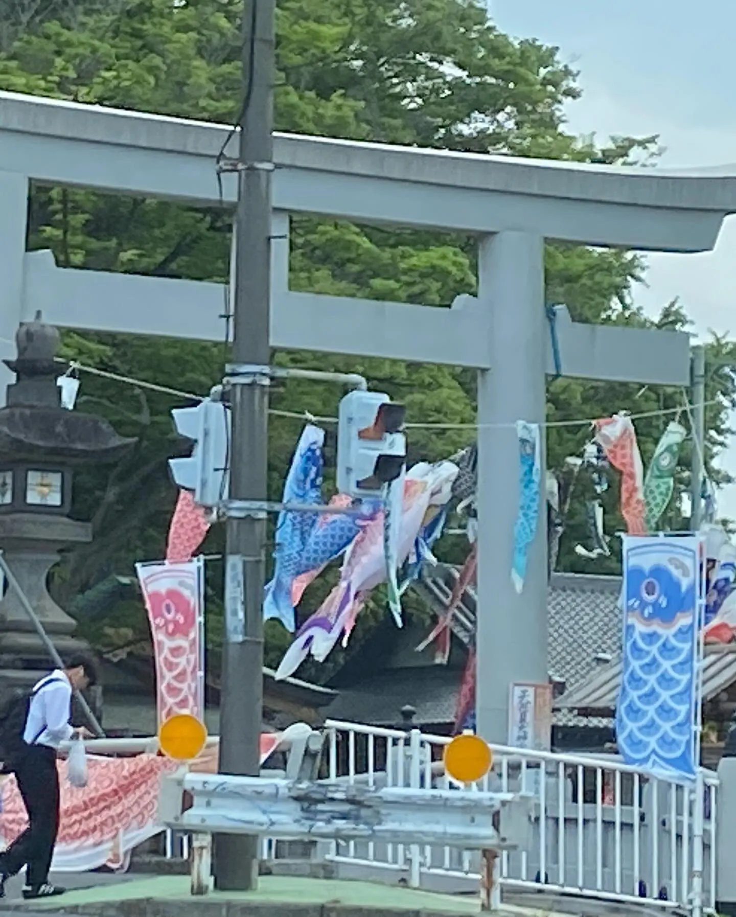 今日は第一日曜日コーシェリ定休日です^_^