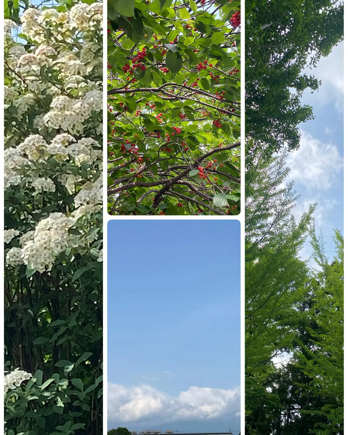 お休みありがとうございます^_^