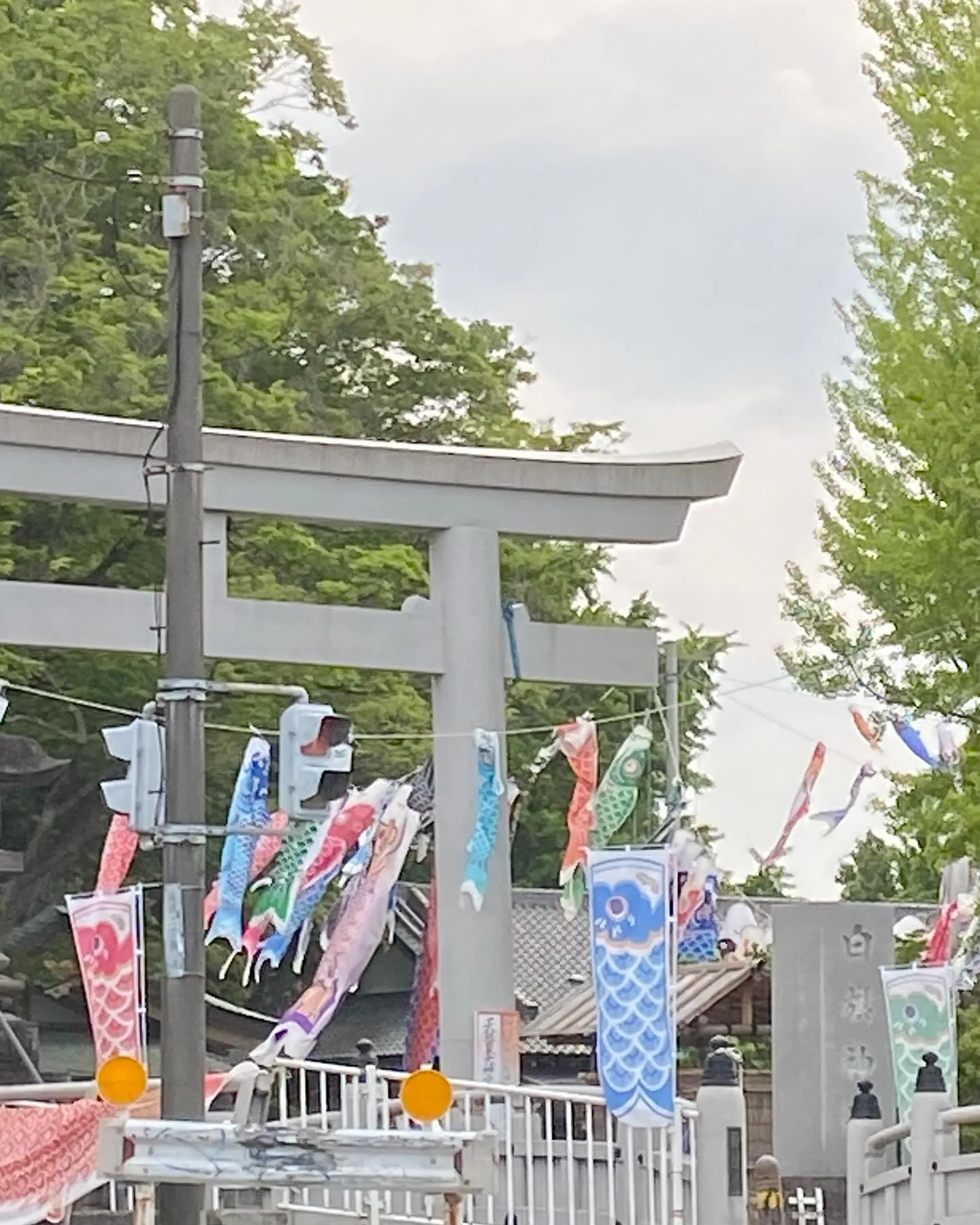 お休みありがとうございます^_^