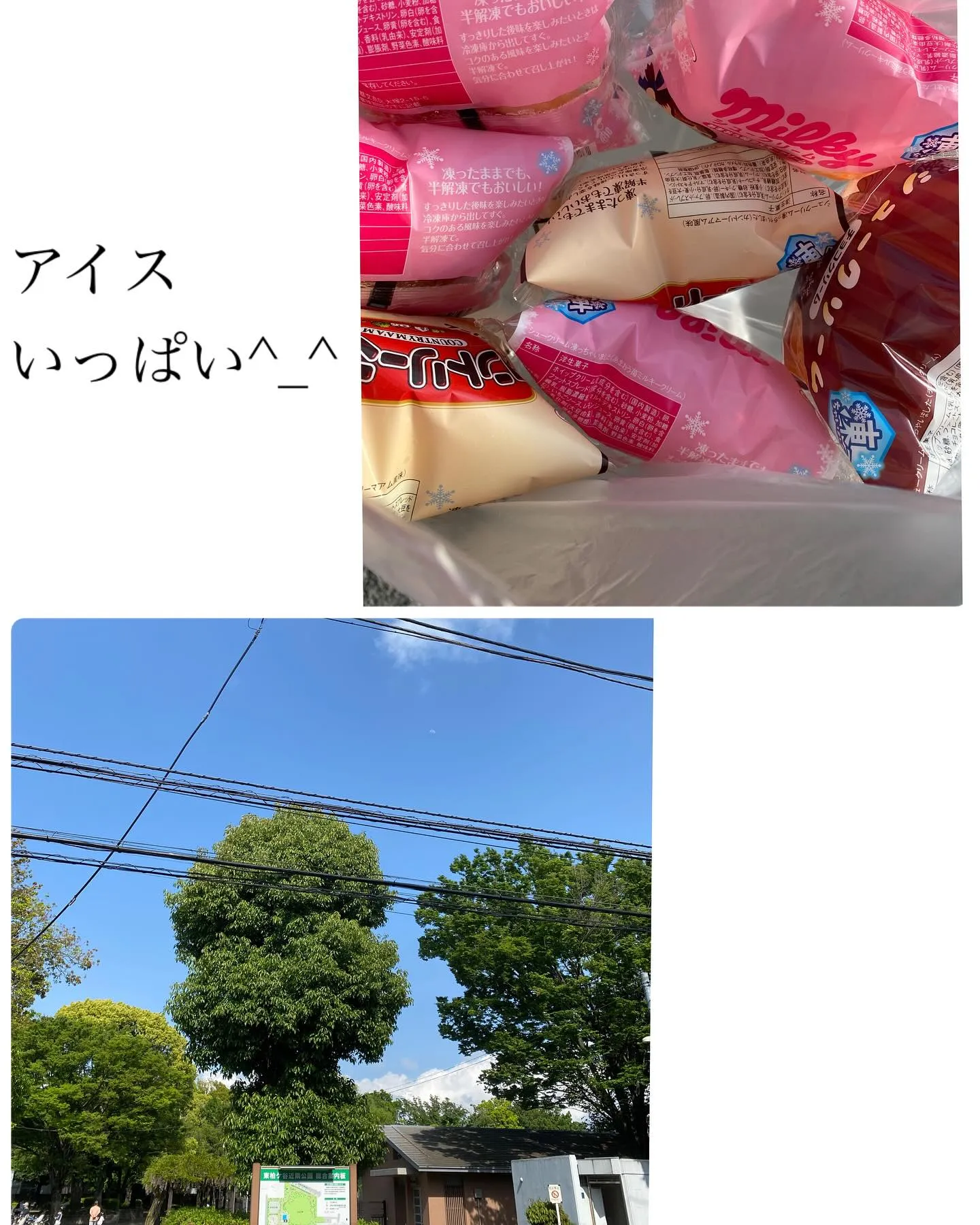 今日はこどもの日🎏ですね🎏