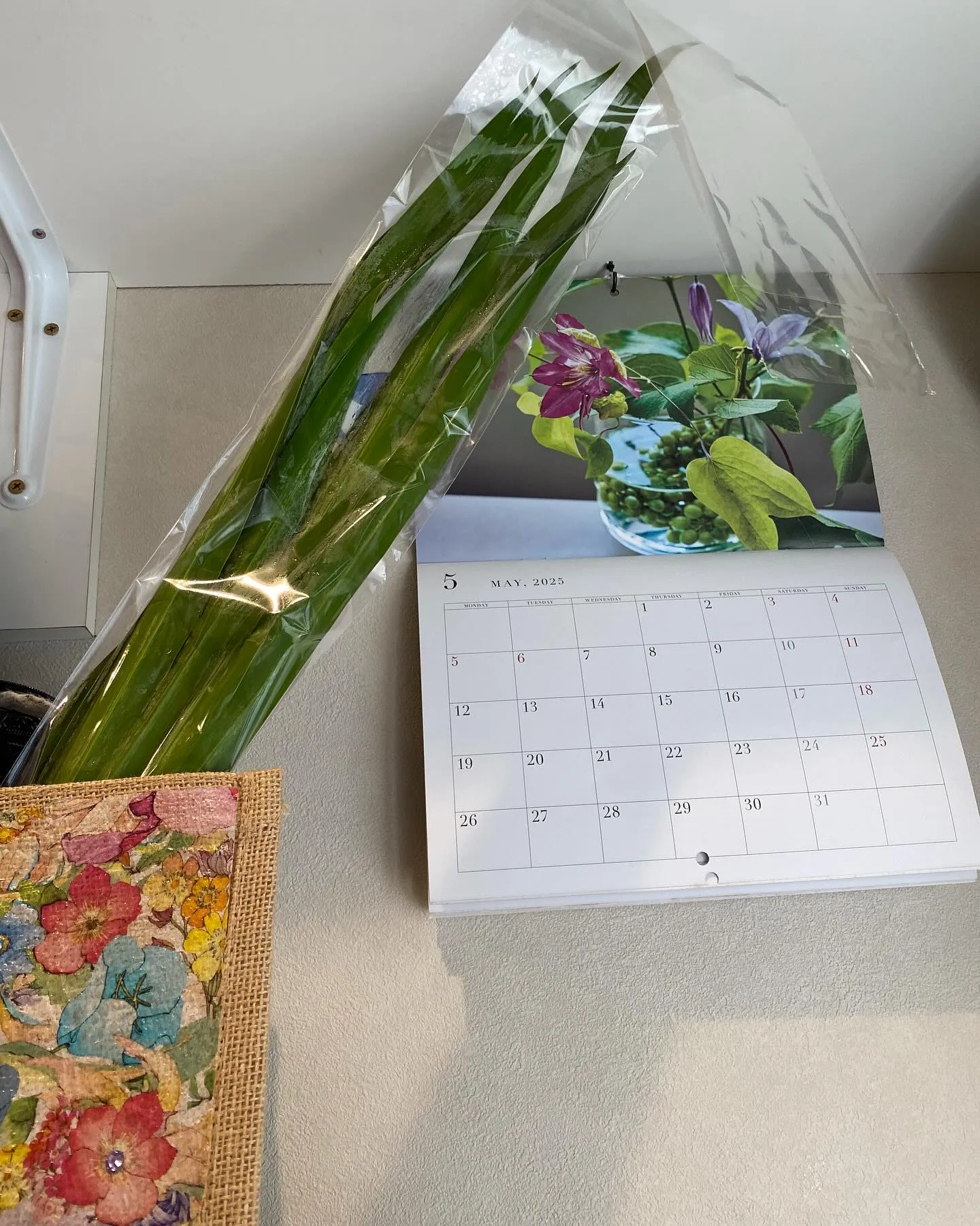 今日はこどもの日🎏ですね🎏