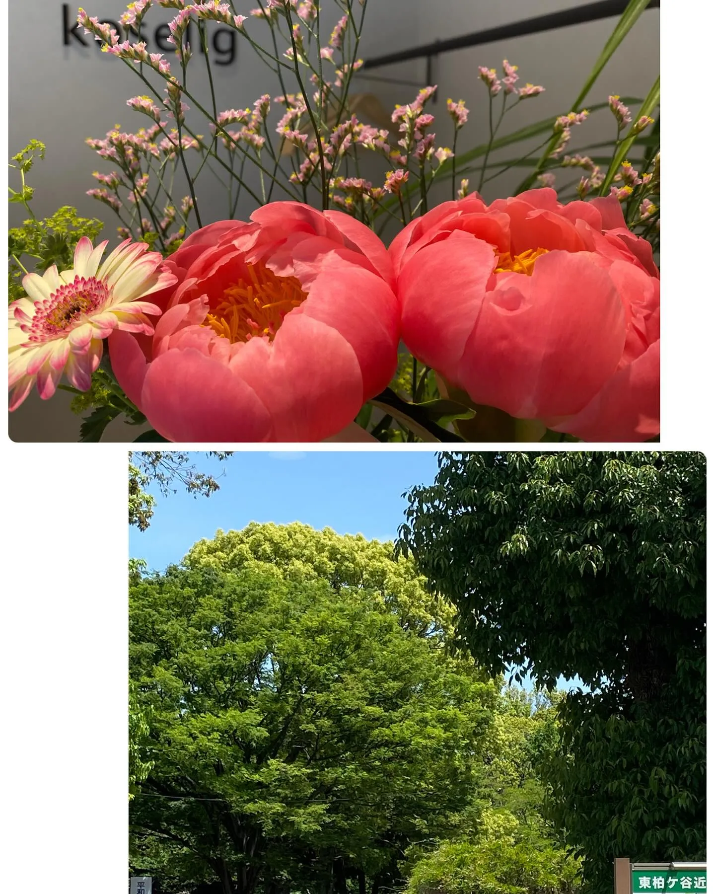 『神奈川県』『綾瀬市』『海老名市』『美容室』　