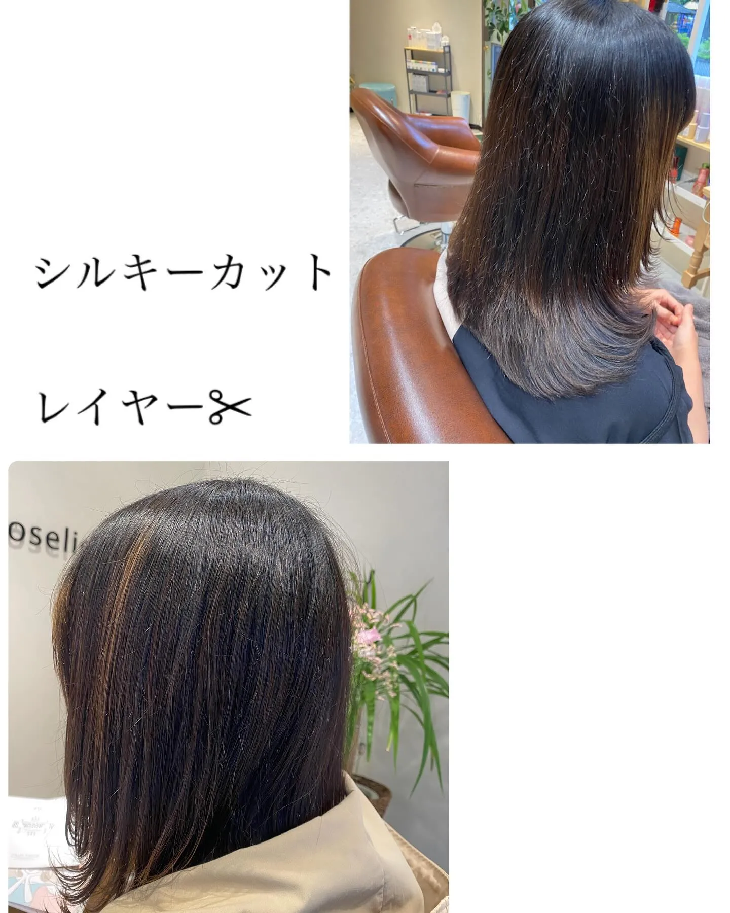 『神奈川県』『綾瀬市』『海老名市』『美容室』