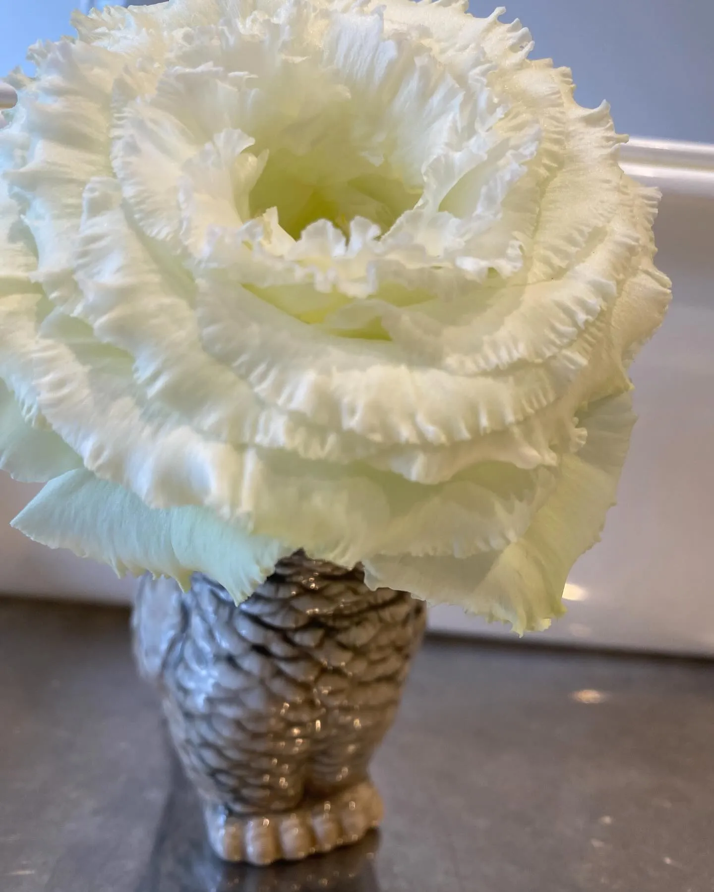 『神奈川県』『綾瀬市』『海老名市』『美容室』