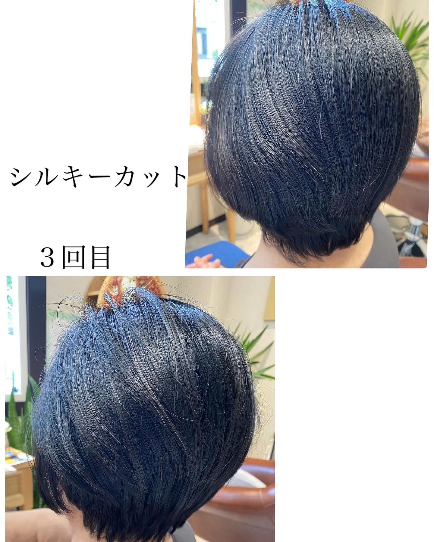 『神奈川県』『綾瀬市』『海老名市』『美容室』