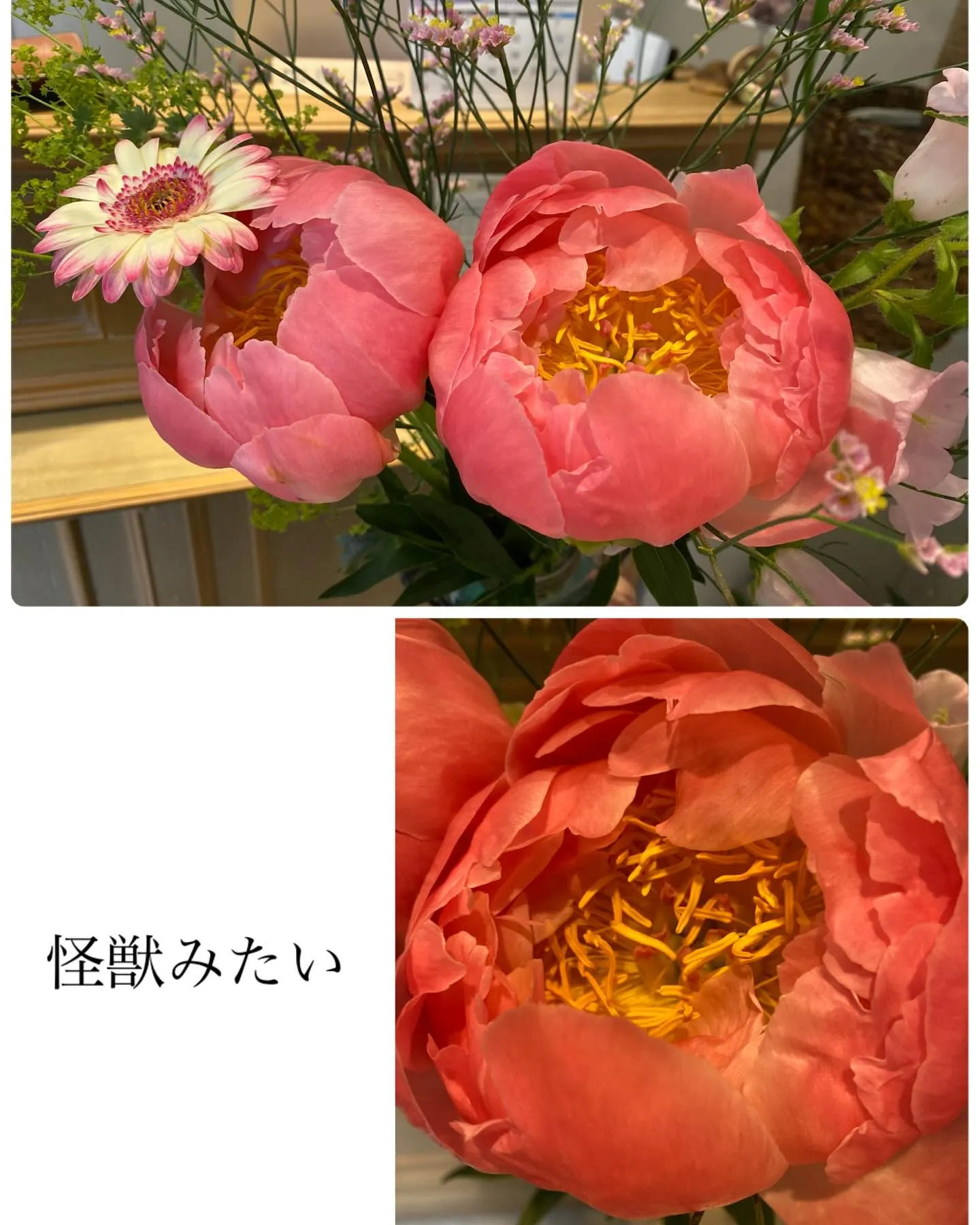 『神奈川県』『綾瀬市』『海老名市』『美容室』