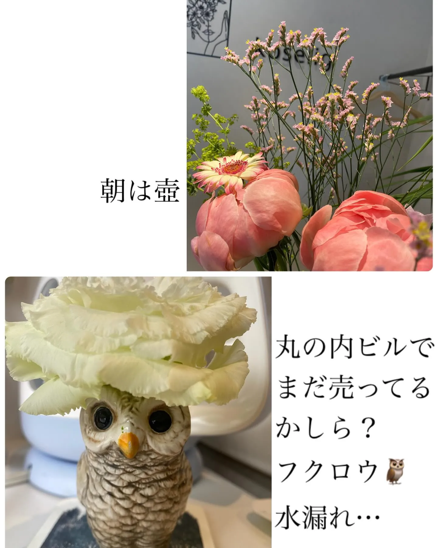 本日もご来店ありがとうございます^_^