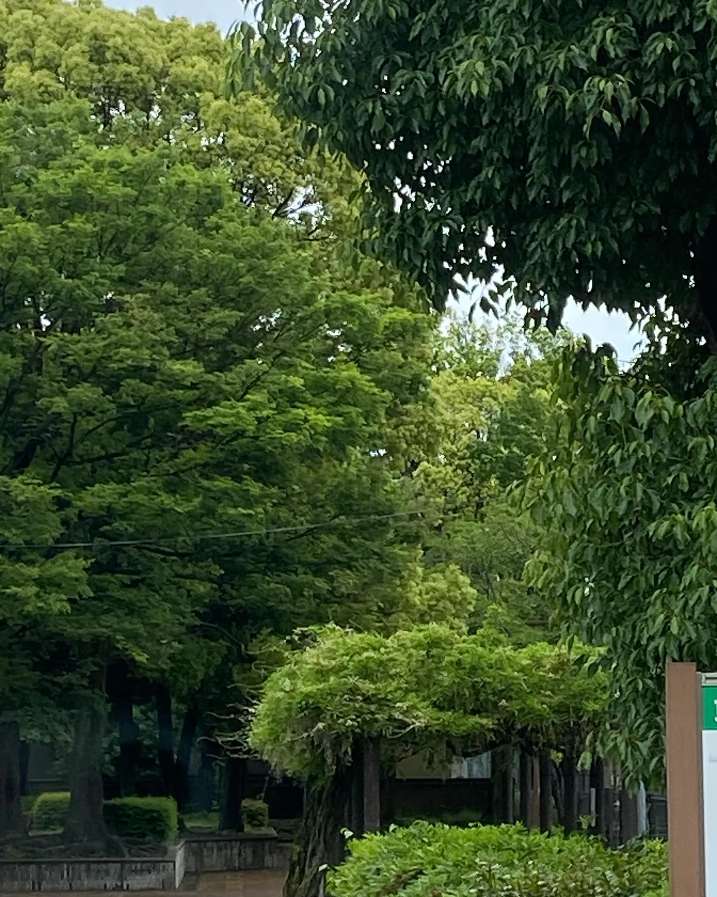 『神奈川県』『綾瀬市』『海老名市』『美容室』