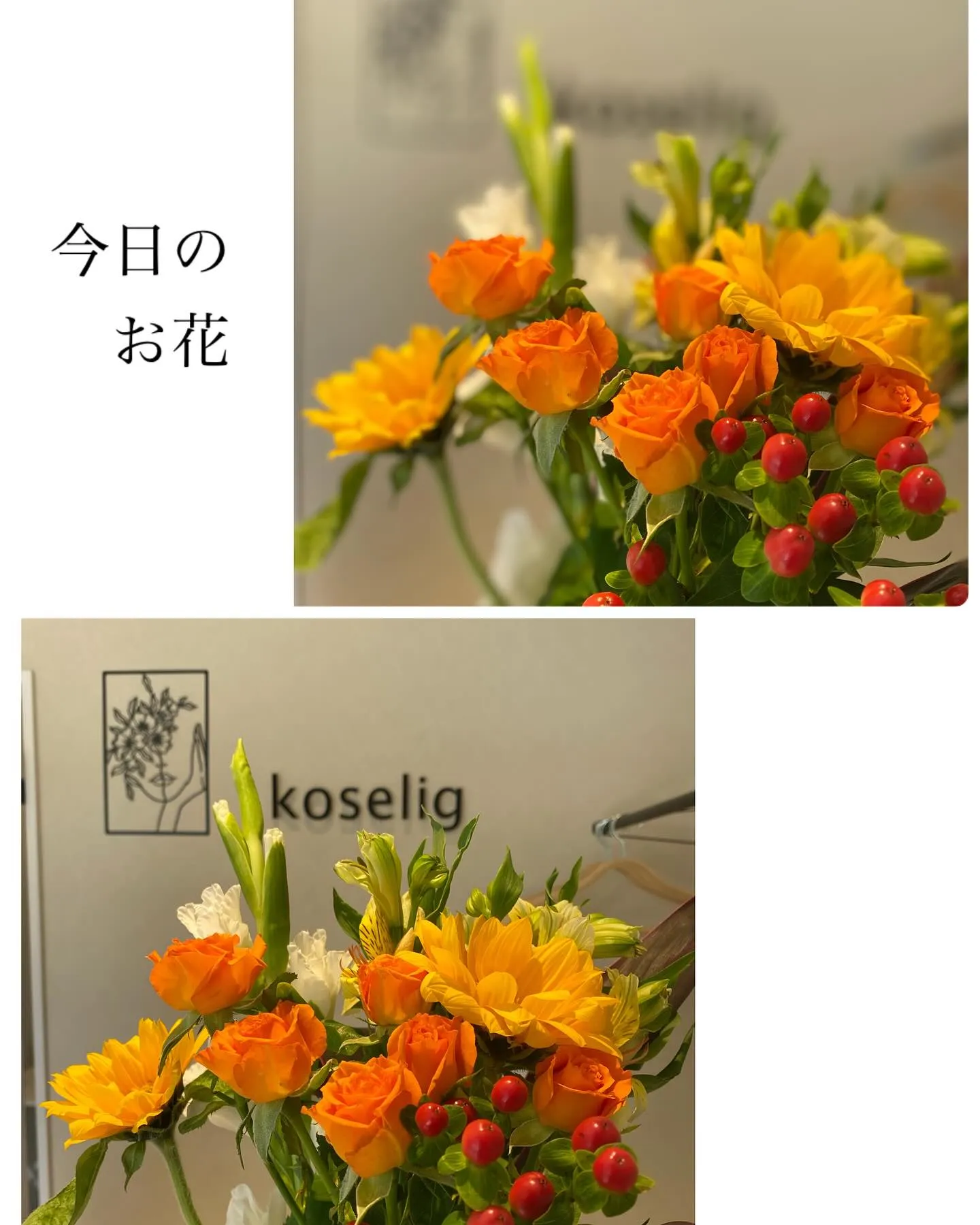 本日は晴れ☀️お天気になりました^_^