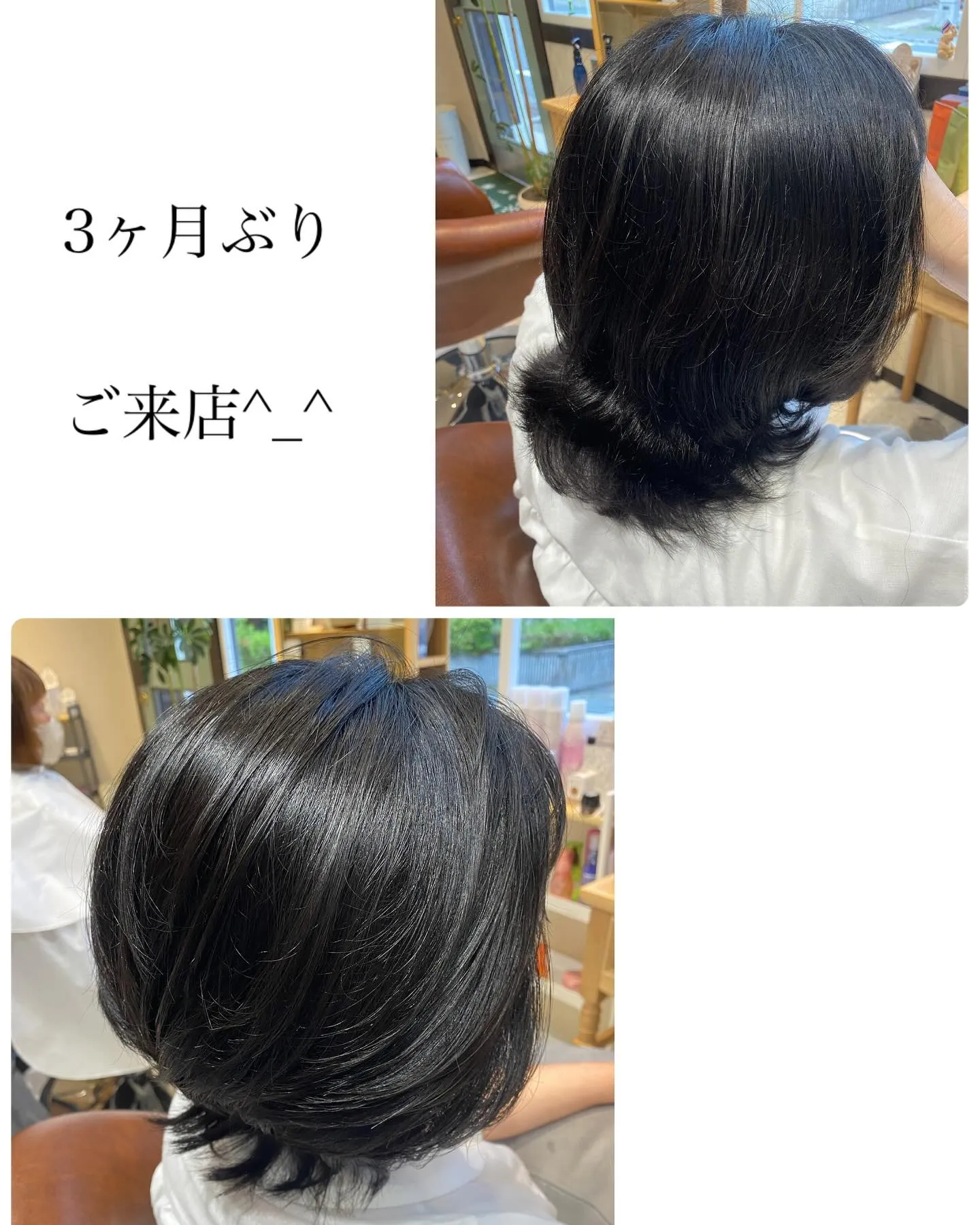 本日は晴れ☀️お天気になりました^_^