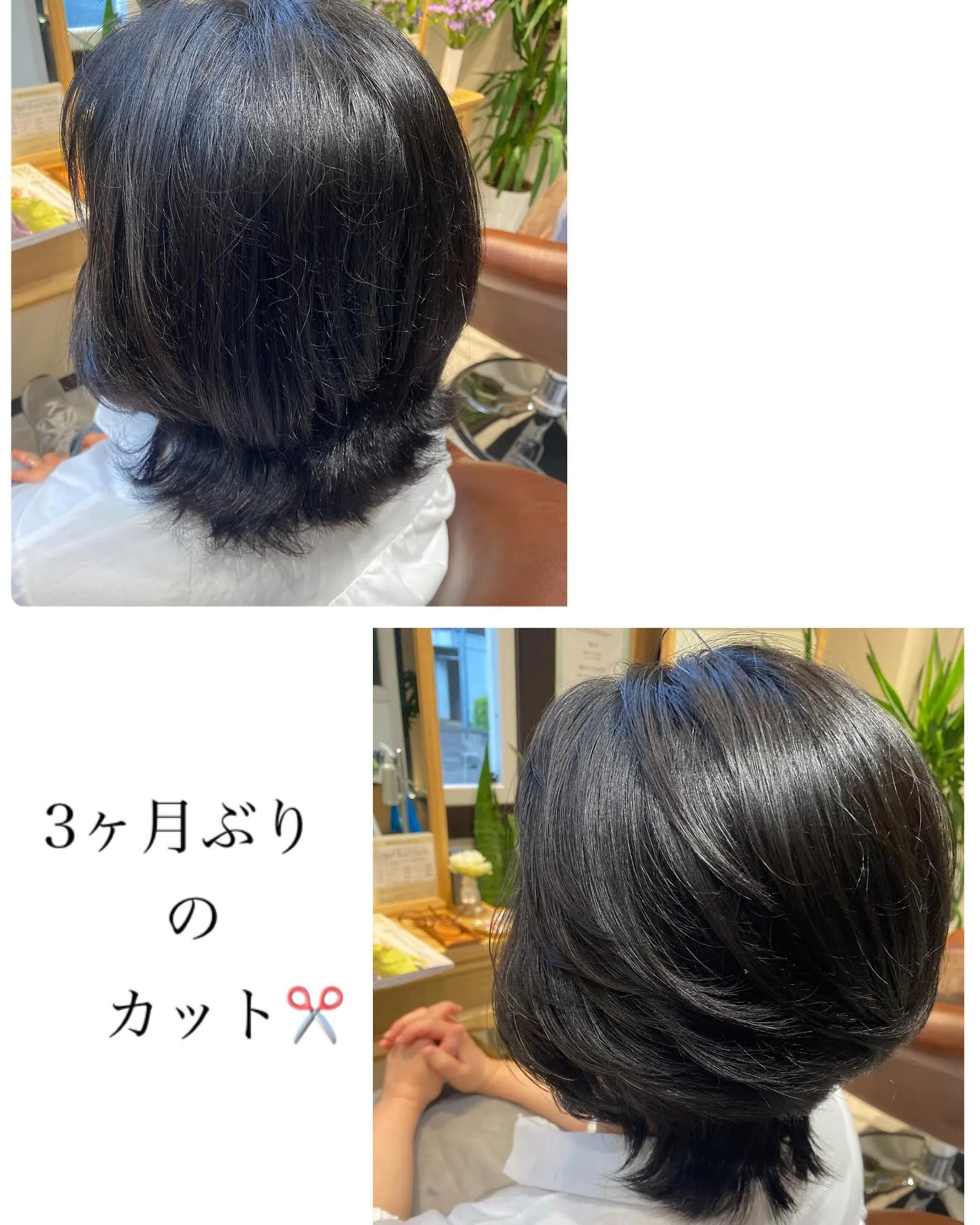 本日は晴れ☀️お天気になりました^_^