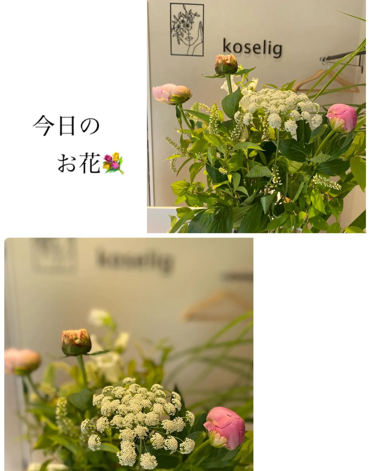 『神奈川県』『綾瀬市』『海老名市』『美容室』