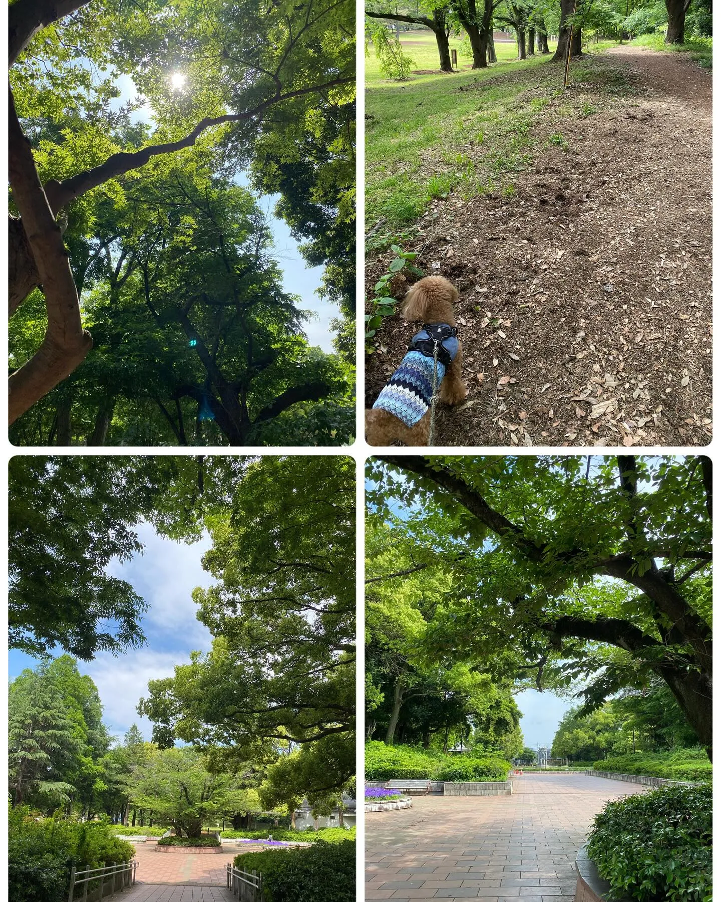 『神奈川県』『綾瀬市』『海老名市』『美容室』