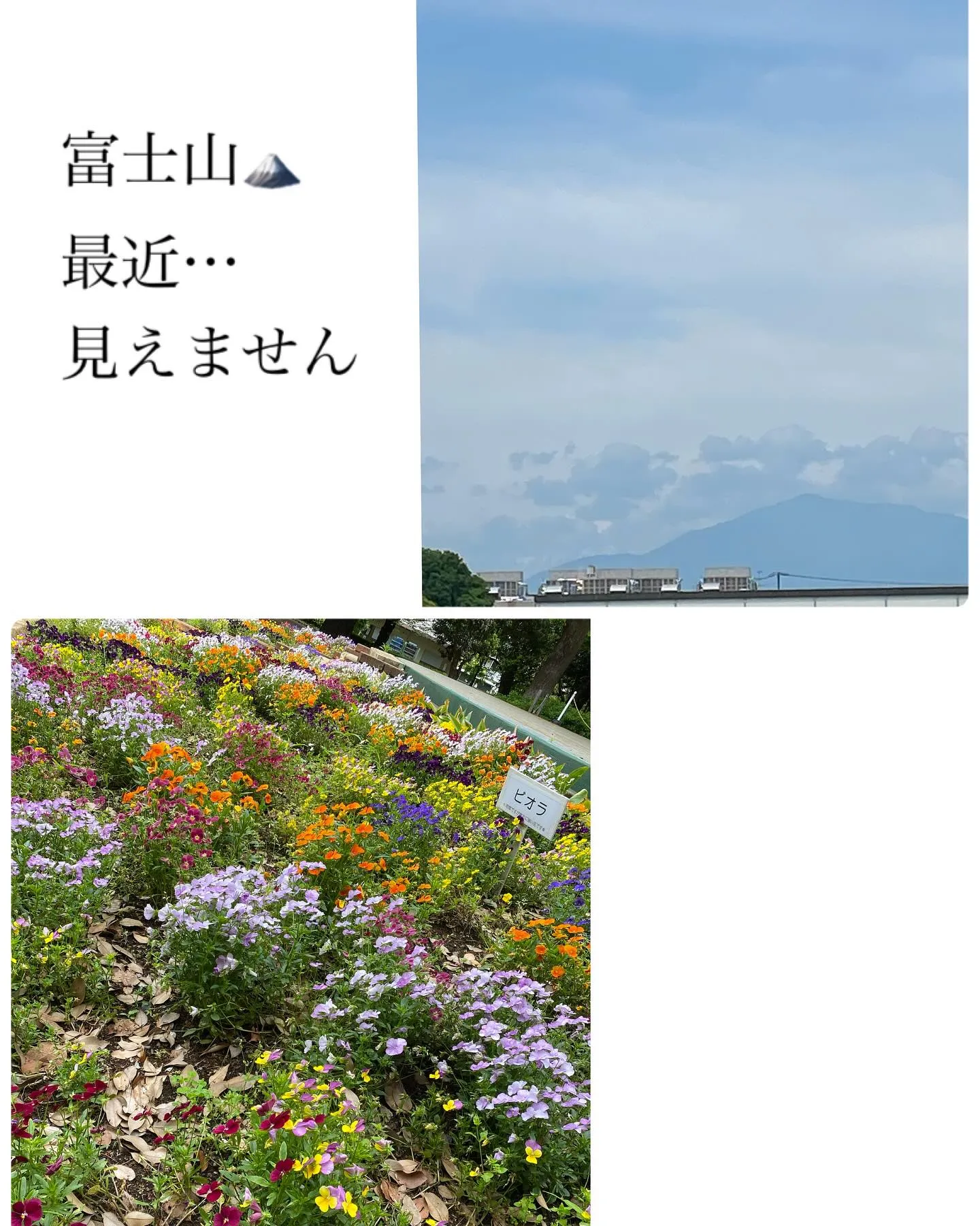 『神奈川県』『綾瀬市』『海老名市』『美容室』