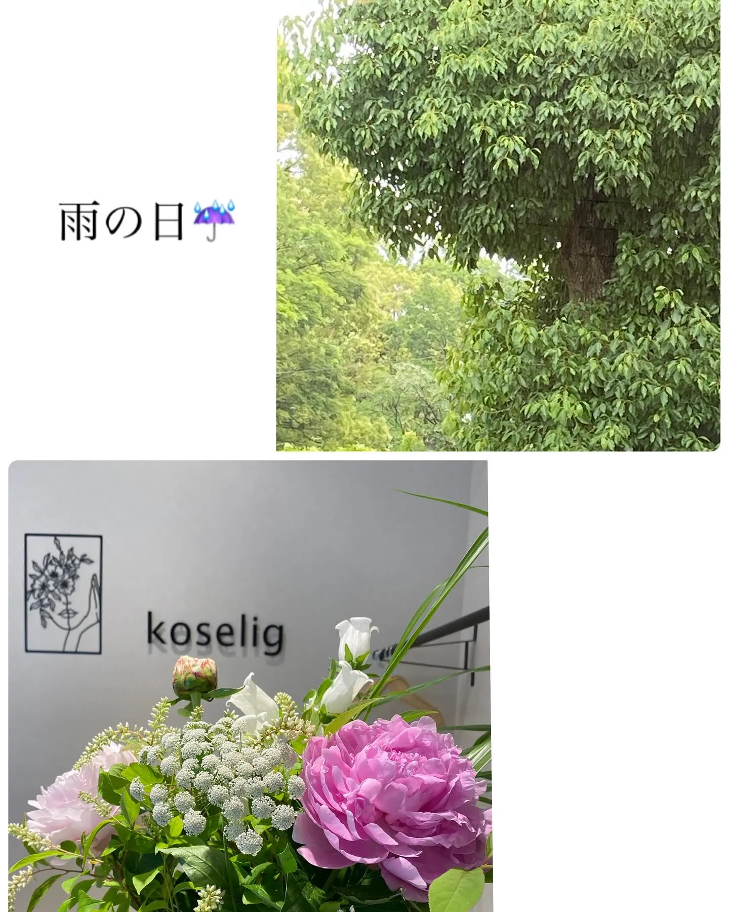 『神奈川県』『綾瀬市』『海老名市』『美容室』