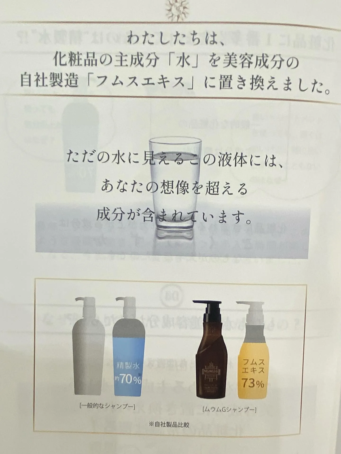 コーシェリでは