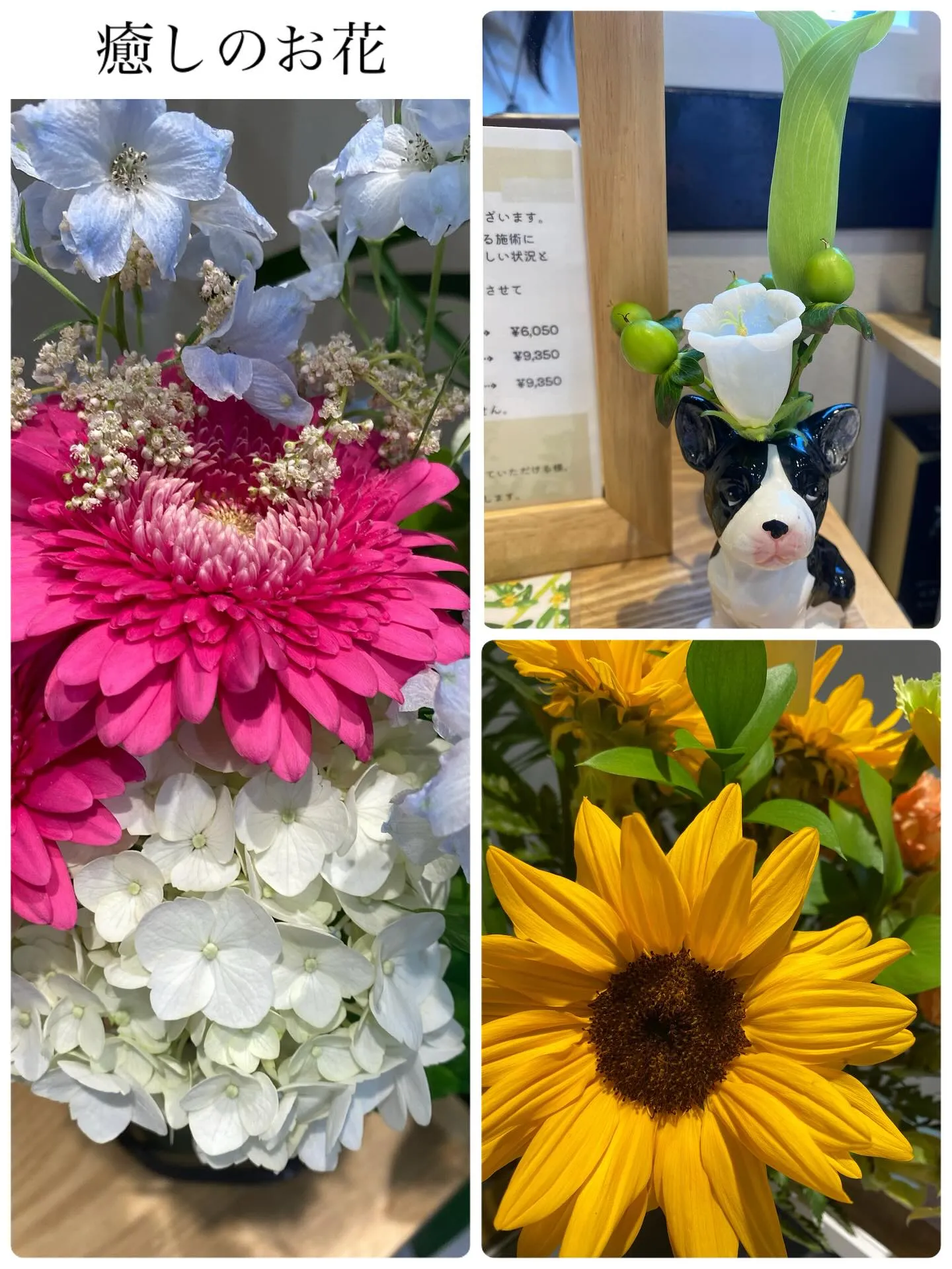 スタイル　NIKKAWA