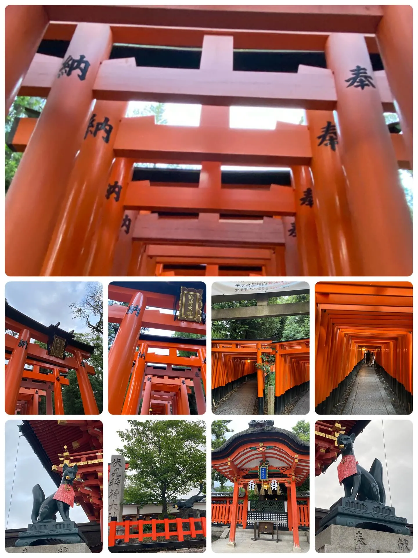 電車🚆乗り間違えながら…