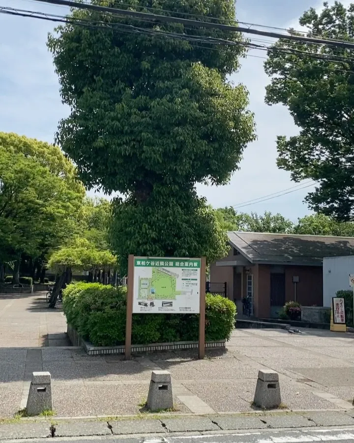 おはようございます☀